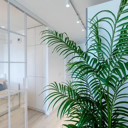 Blue Sky By Major Domus Club Apartment